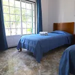 Quinta Flores, Lote 9 别墅 阿尔布费拉